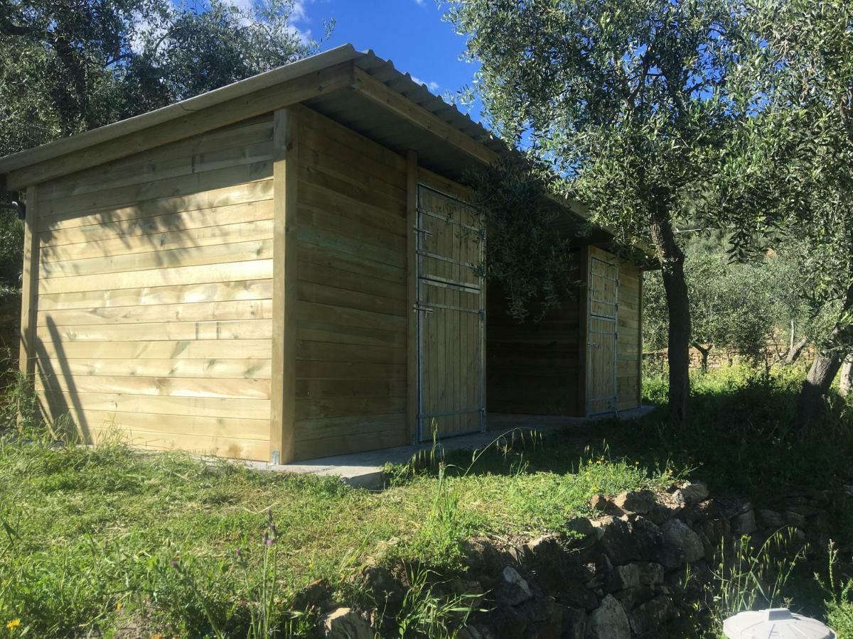 Agriturismo Oltrealmare Civezza Екстериор снимка