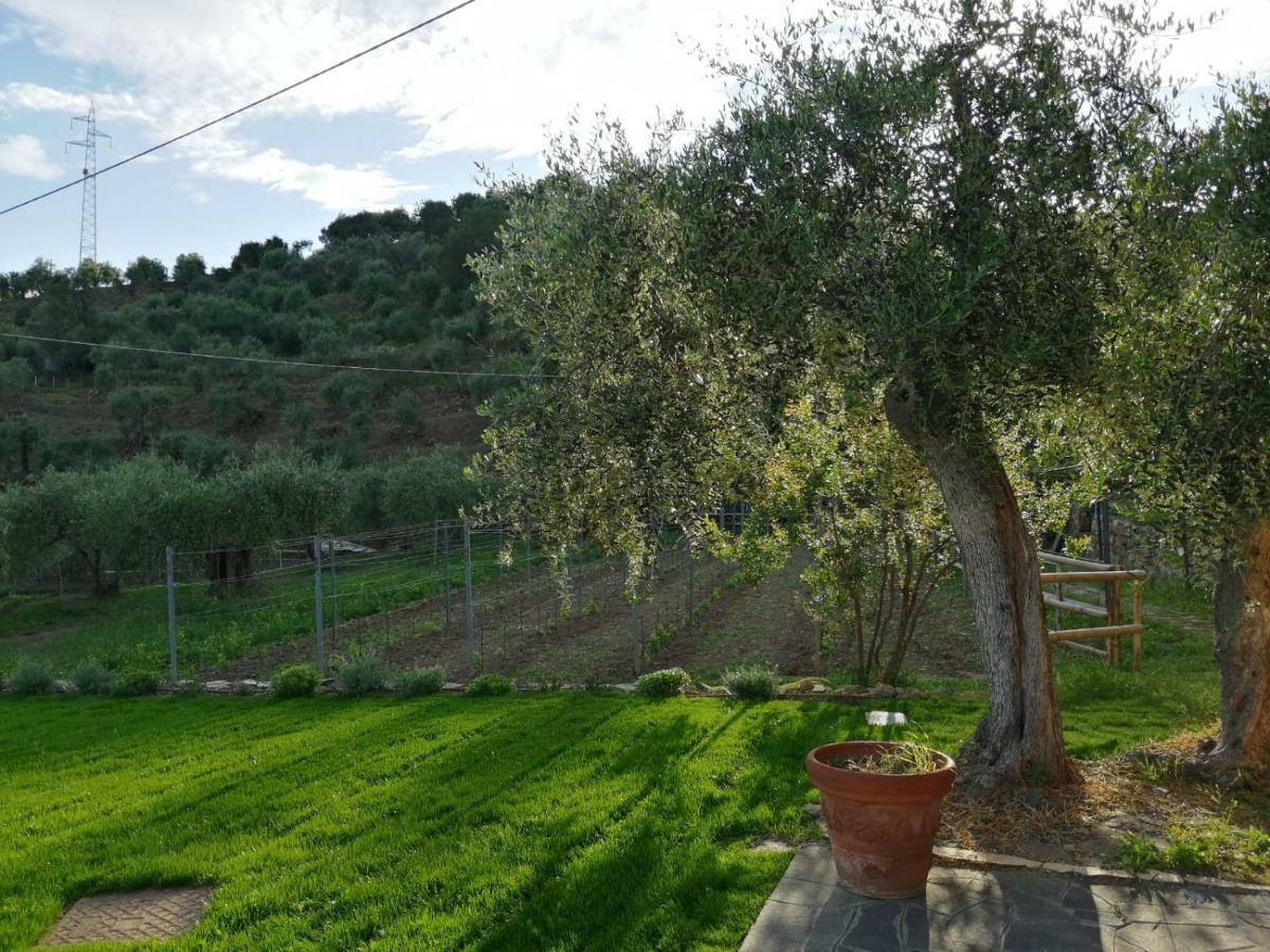 Agriturismo Oltrealmare Civezza Екстериор снимка